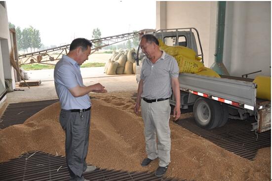 十大外围足球平台app