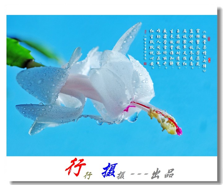 十大外围足球平台app