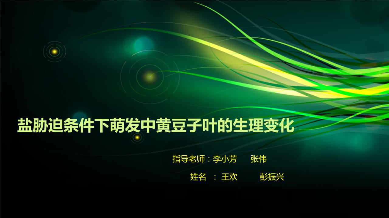 十大外围足球平台app